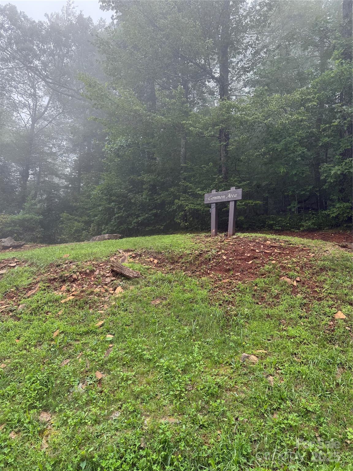 Lot #35 Damselfly Court Spruce Pine NC 28777