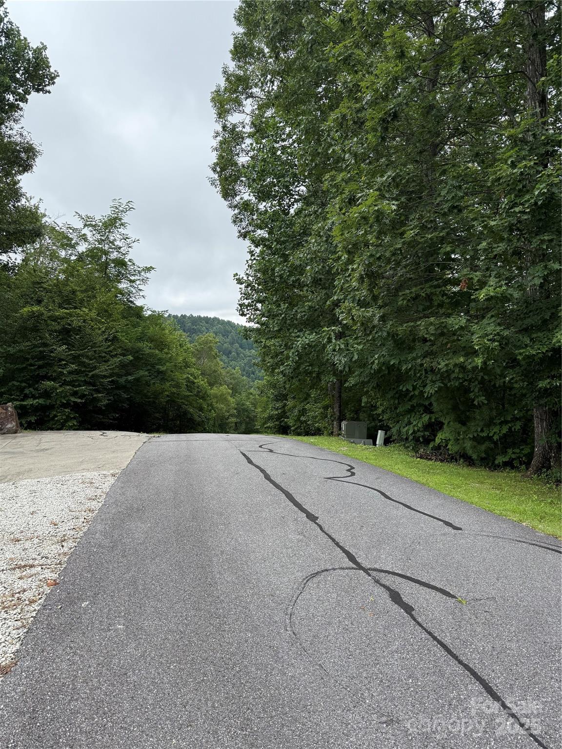 Lot #35 Damselfly Court Spruce Pine NC 28777
