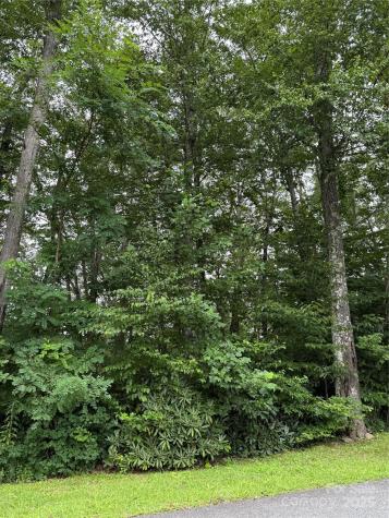 Lot #35 Damselfly Court Spruce Pine NC 28777