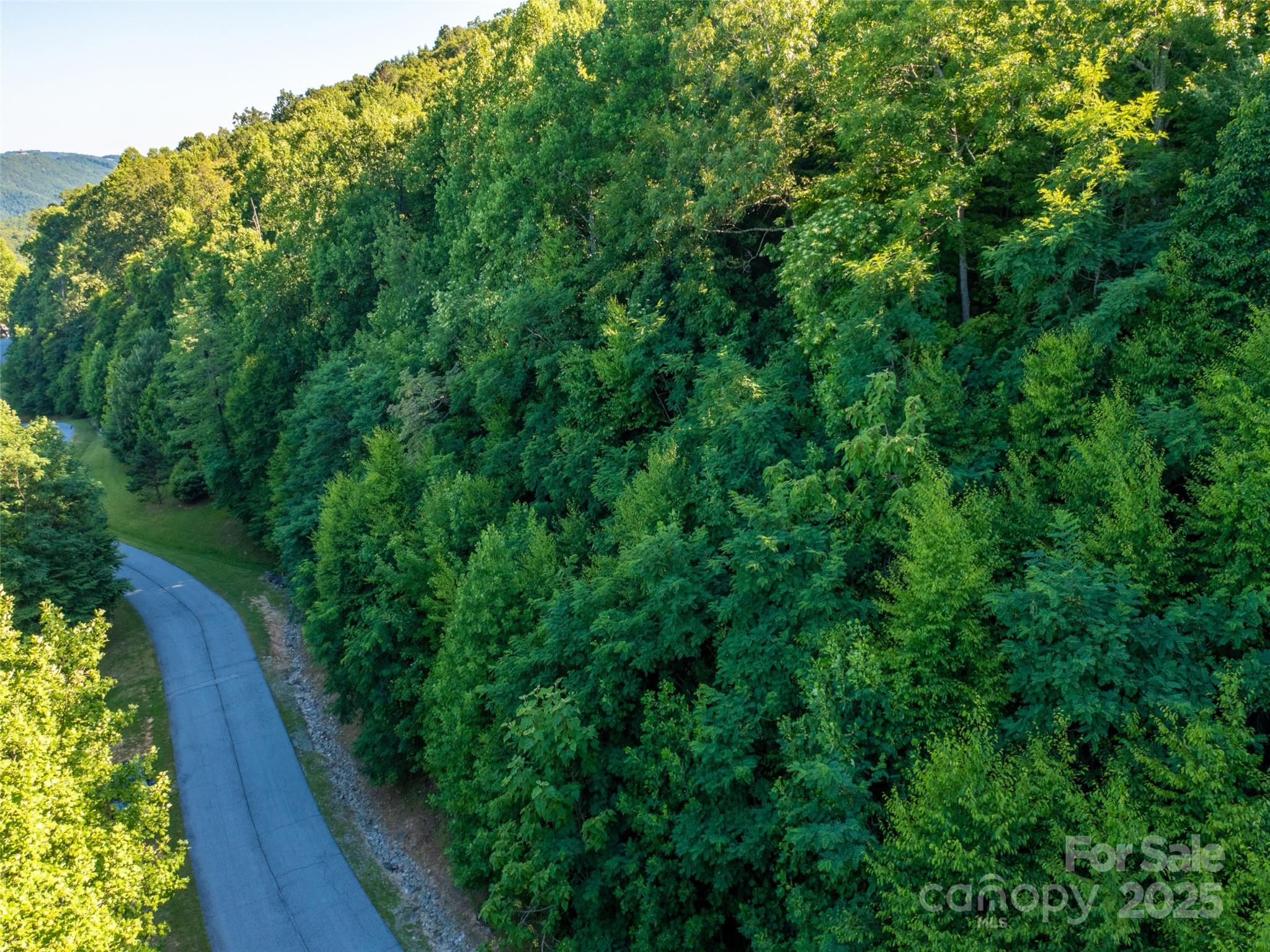 811 Grand Oaks Drive Hendersonville NC 28792