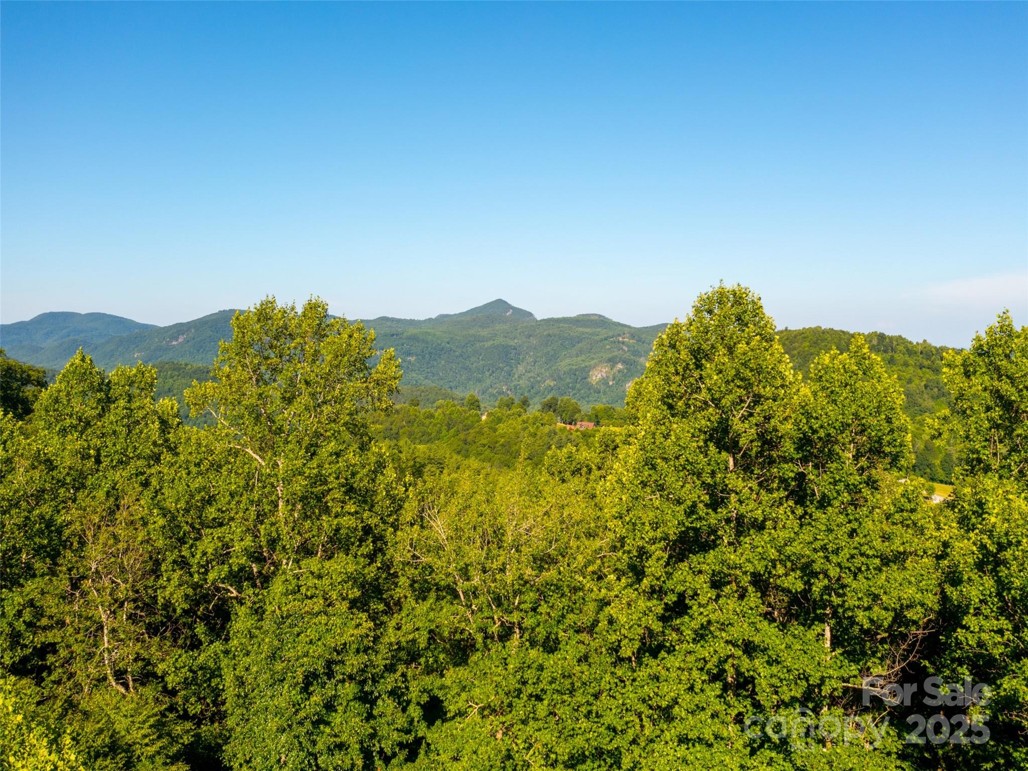 811 Grand Oaks Drive Hendersonville NC 28792