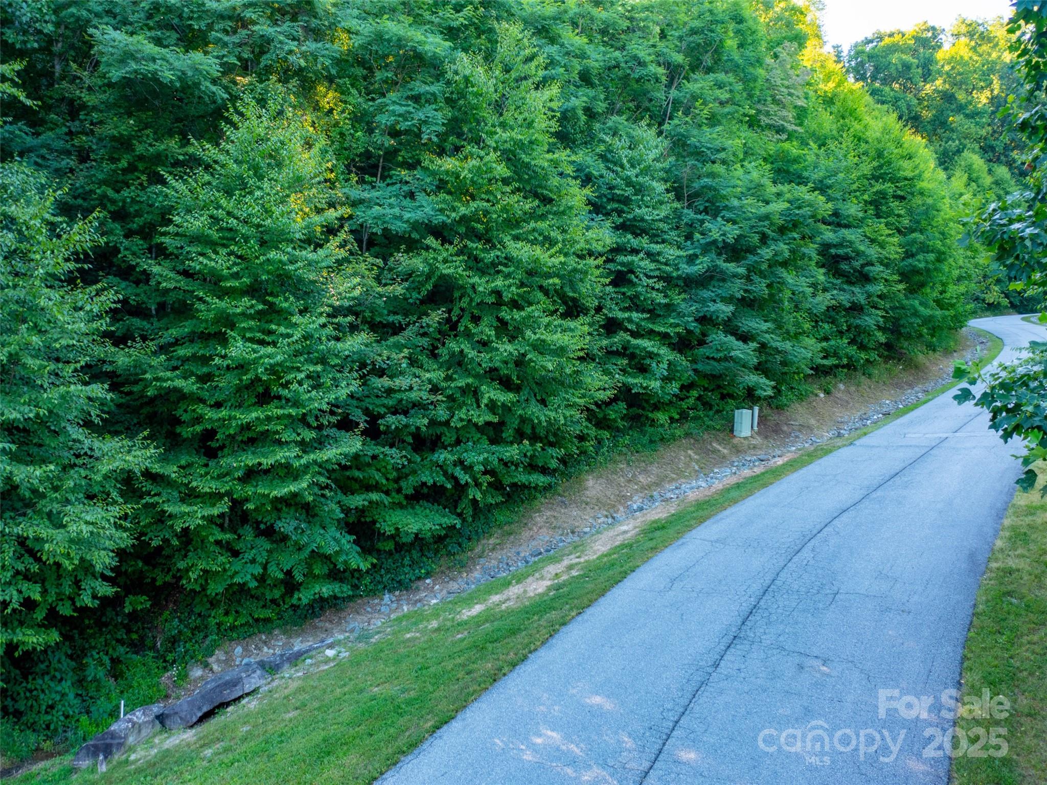 811 Grand Oaks Drive Hendersonville NC 28792