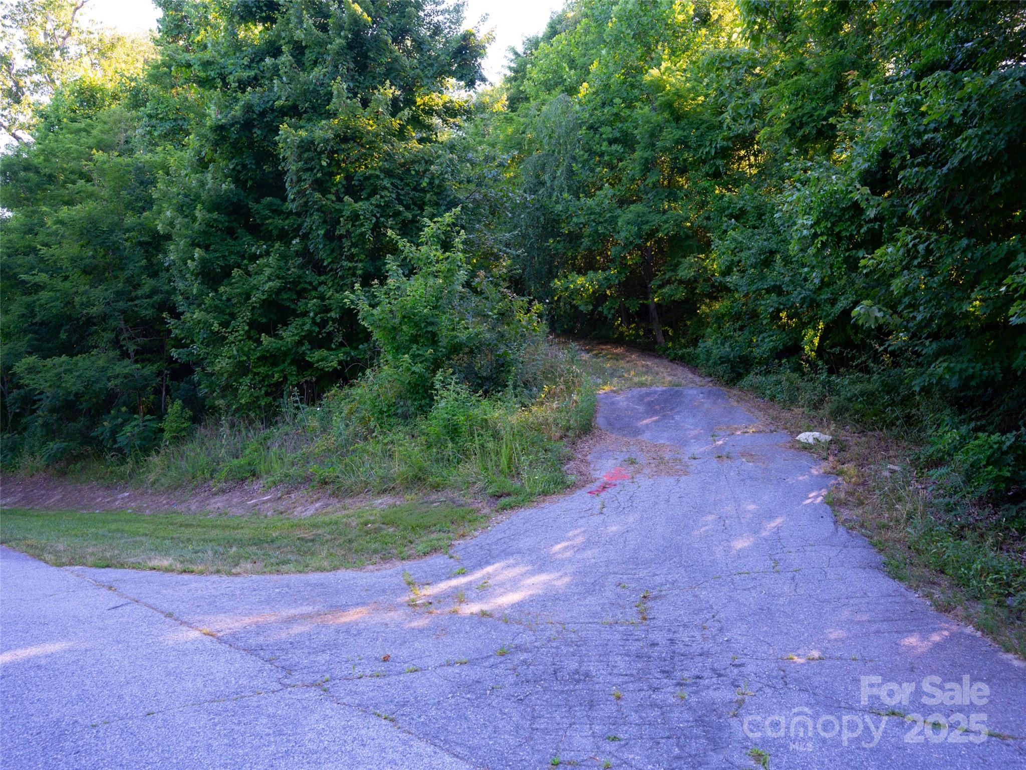 811 Grand Oaks Drive Hendersonville NC 28792