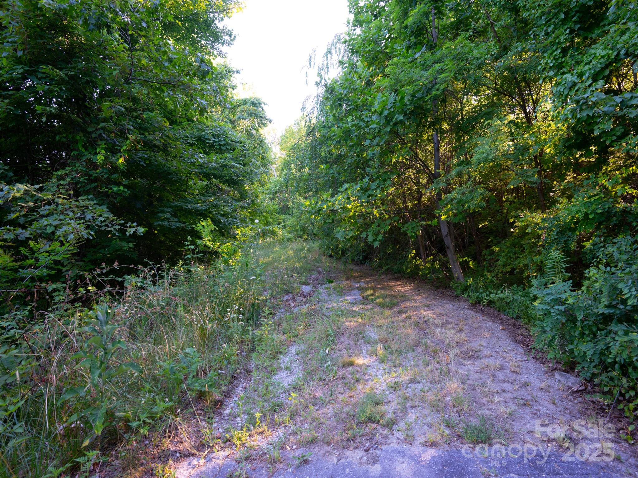 811 Grand Oaks Drive Hendersonville NC 28792