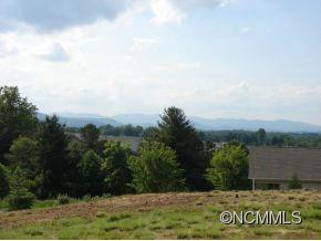 32 Climbing Aster Way Asheville NC 28806