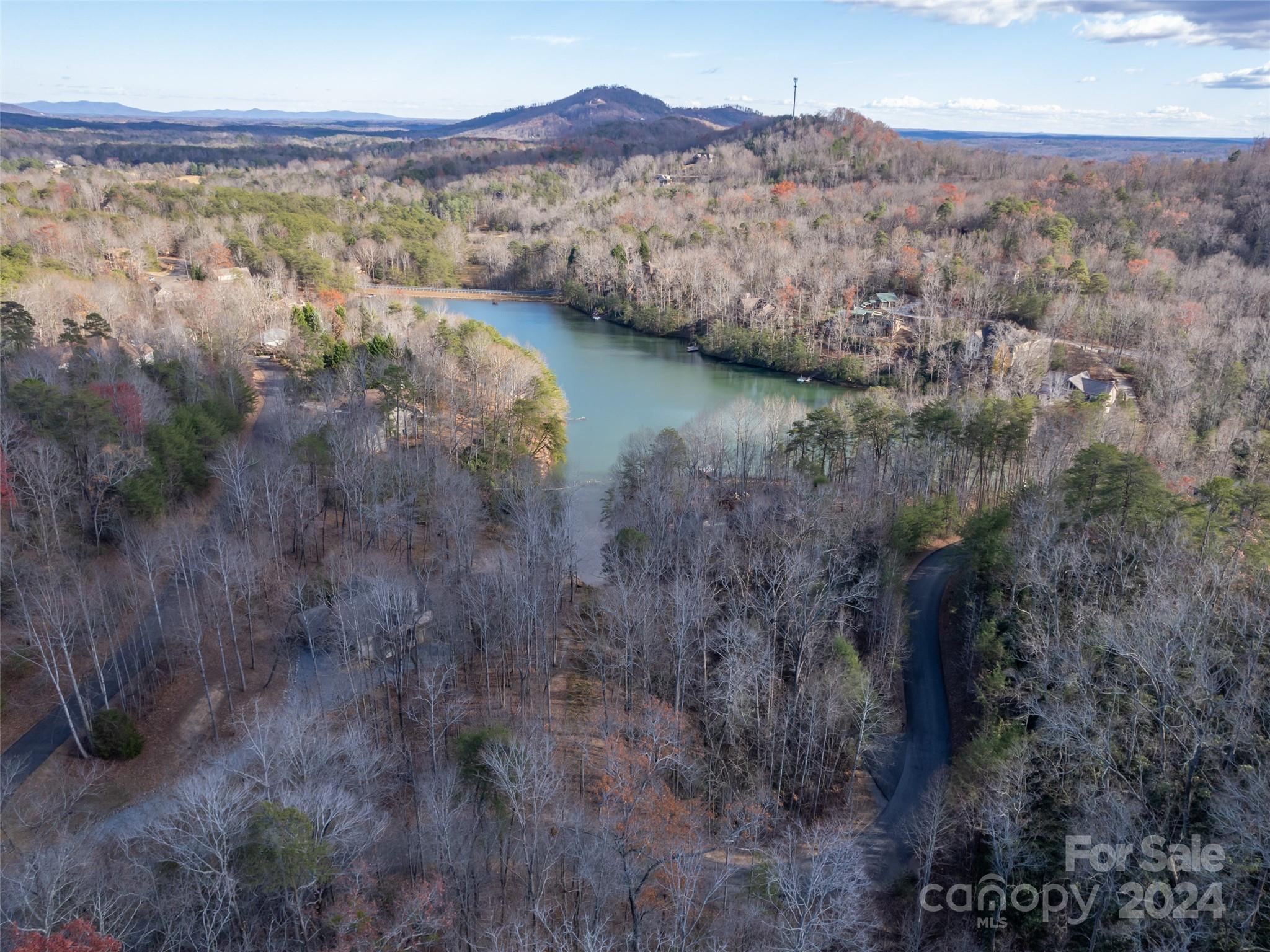 86 Lakewood Drive Lake Lure NC 28746