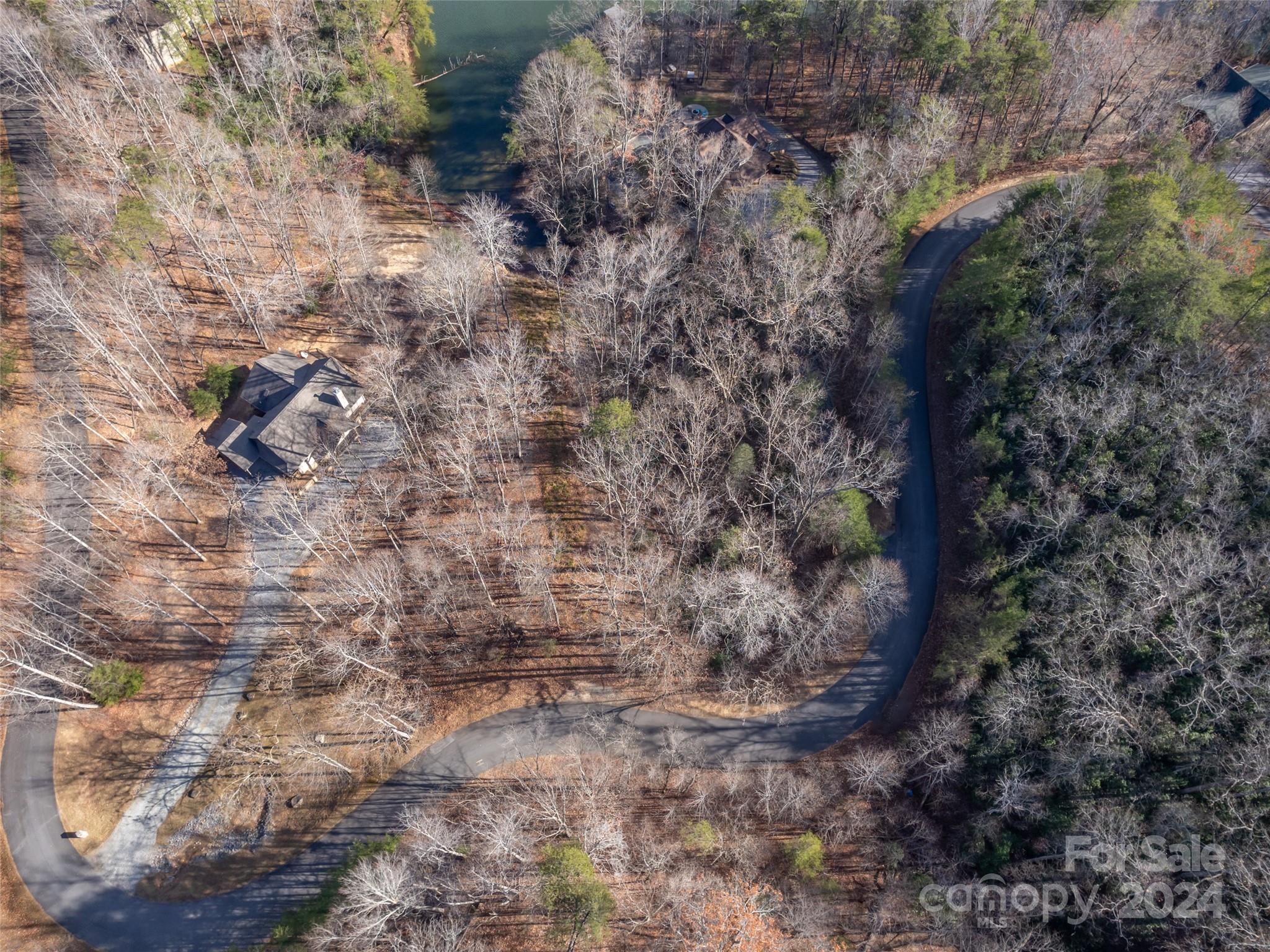 86 Lakewood Drive Lake Lure NC 28746