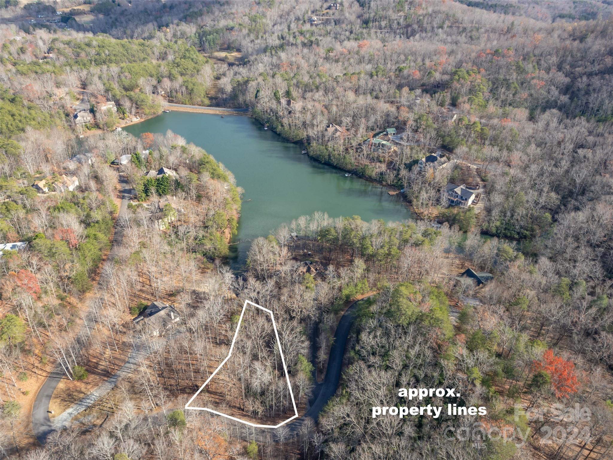 86 Lakewood Drive Lake Lure NC 28746