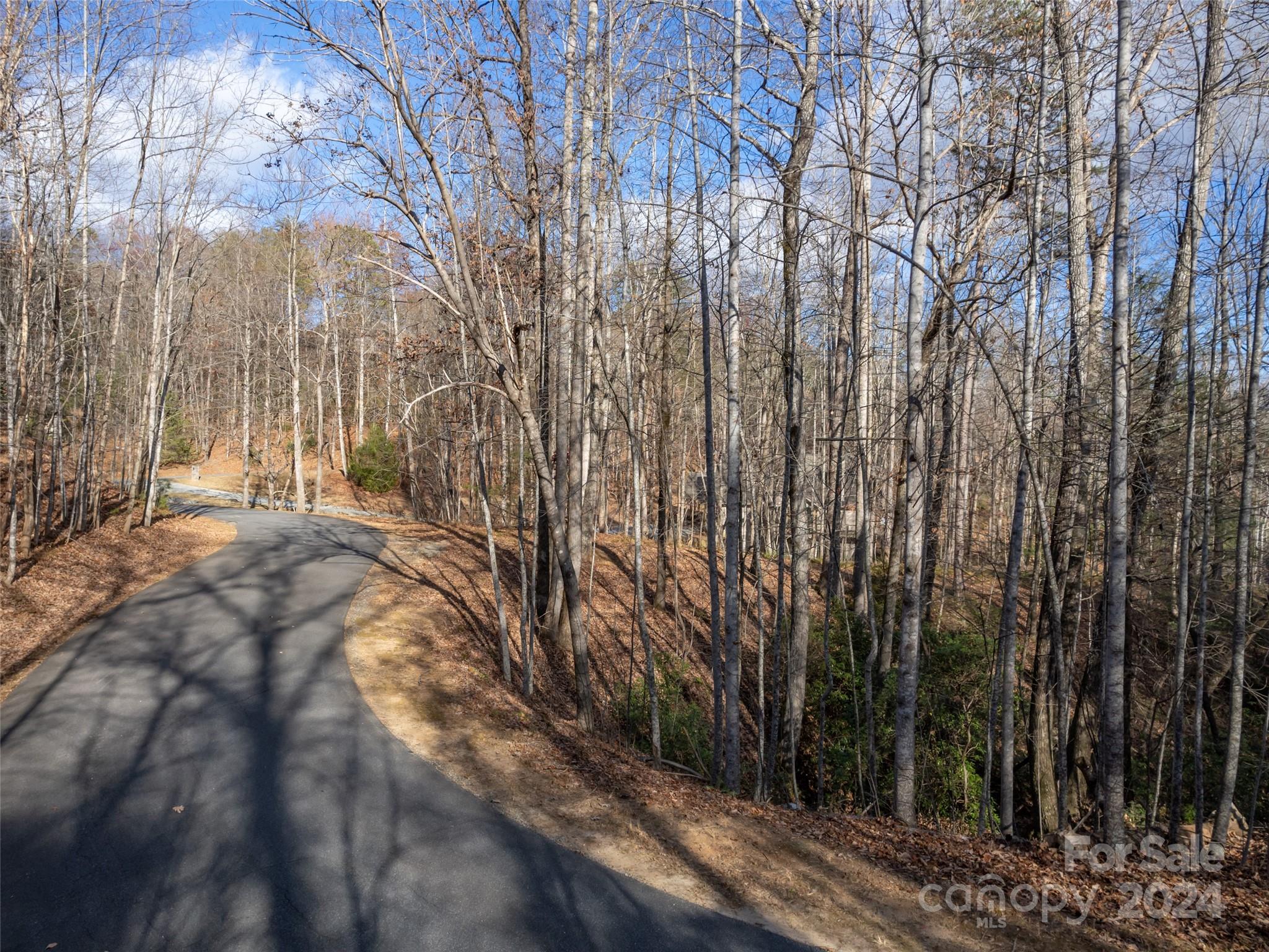 86 Lakewood Drive Lake Lure NC 28746