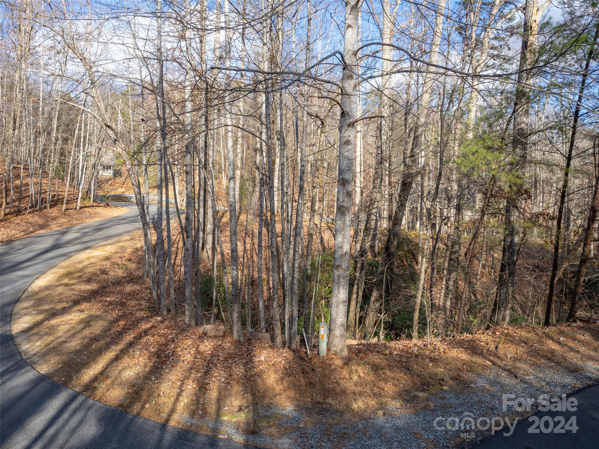86 Lakewood Drive Lake Lure NC 28746