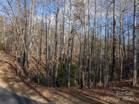 86 Lakewood Drive Lake Lure NC 28746