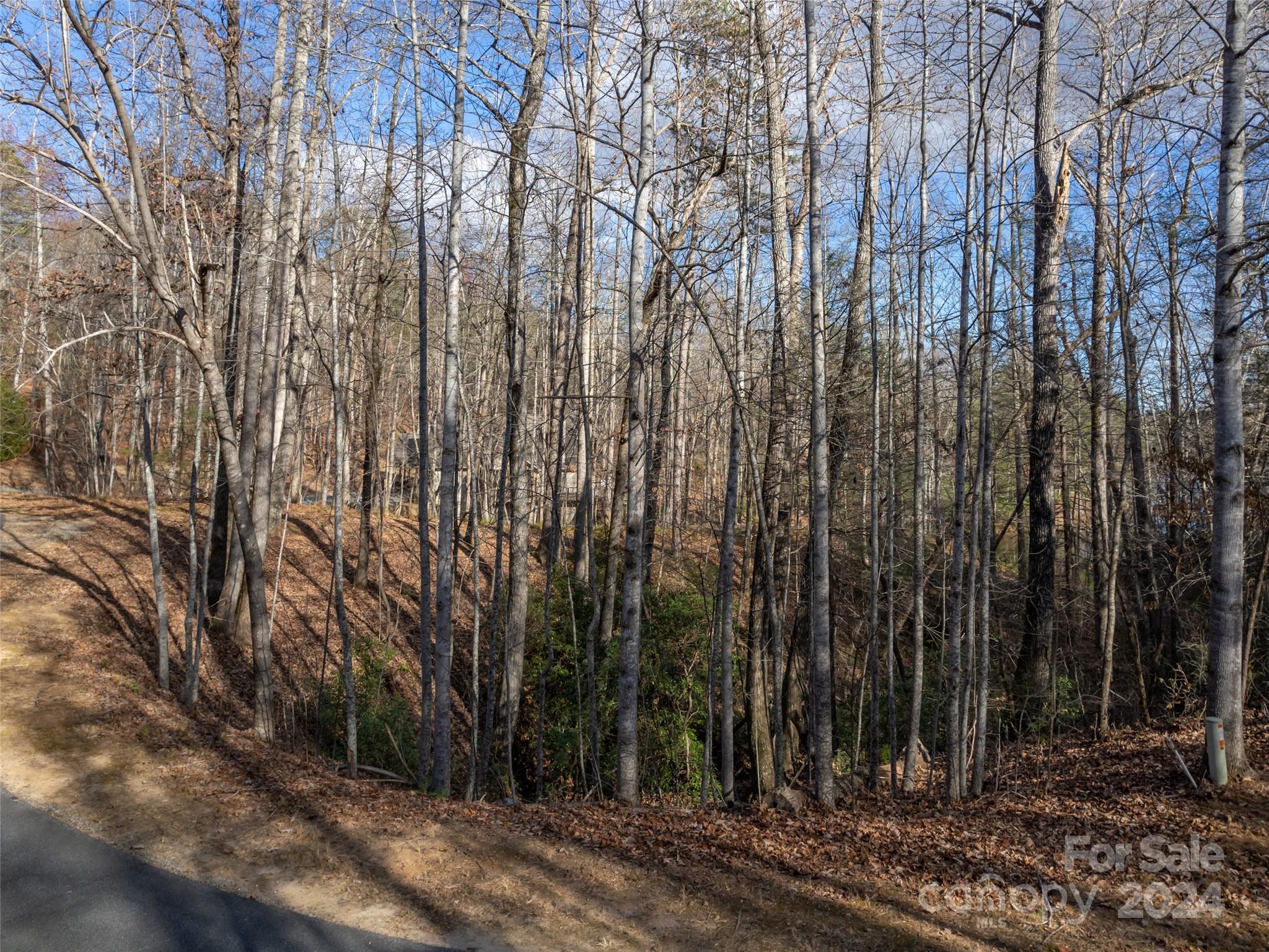 86 Lakewood Drive Lake Lure NC 28746
