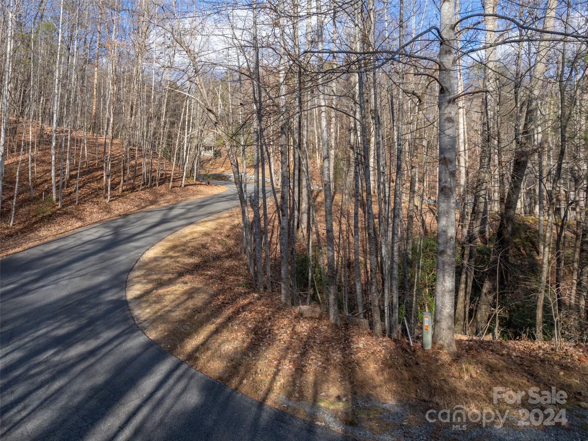 86 Lakewood Drive Lake Lure NC 28746