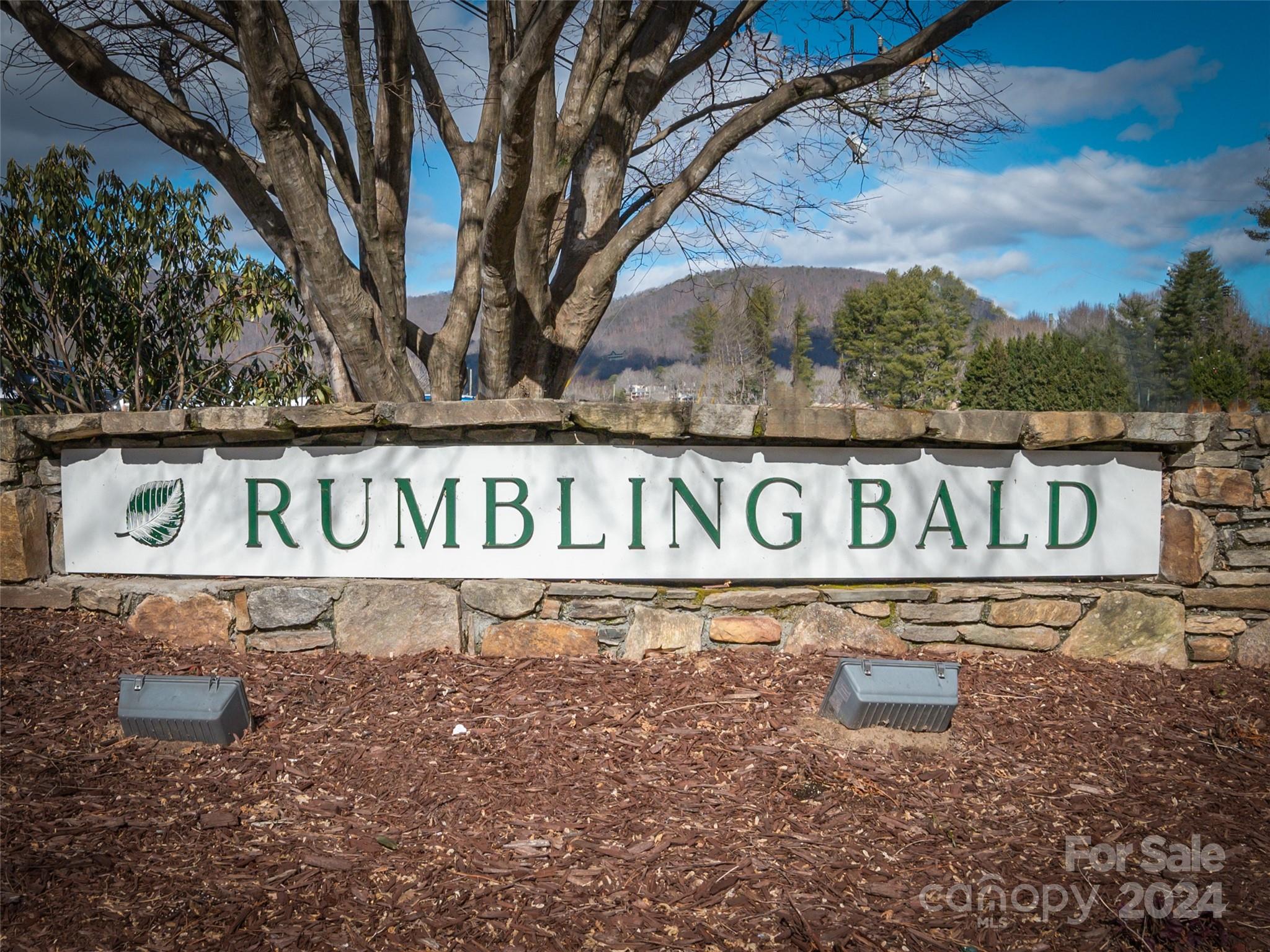 86 Lakewood Drive Lake Lure NC 28746