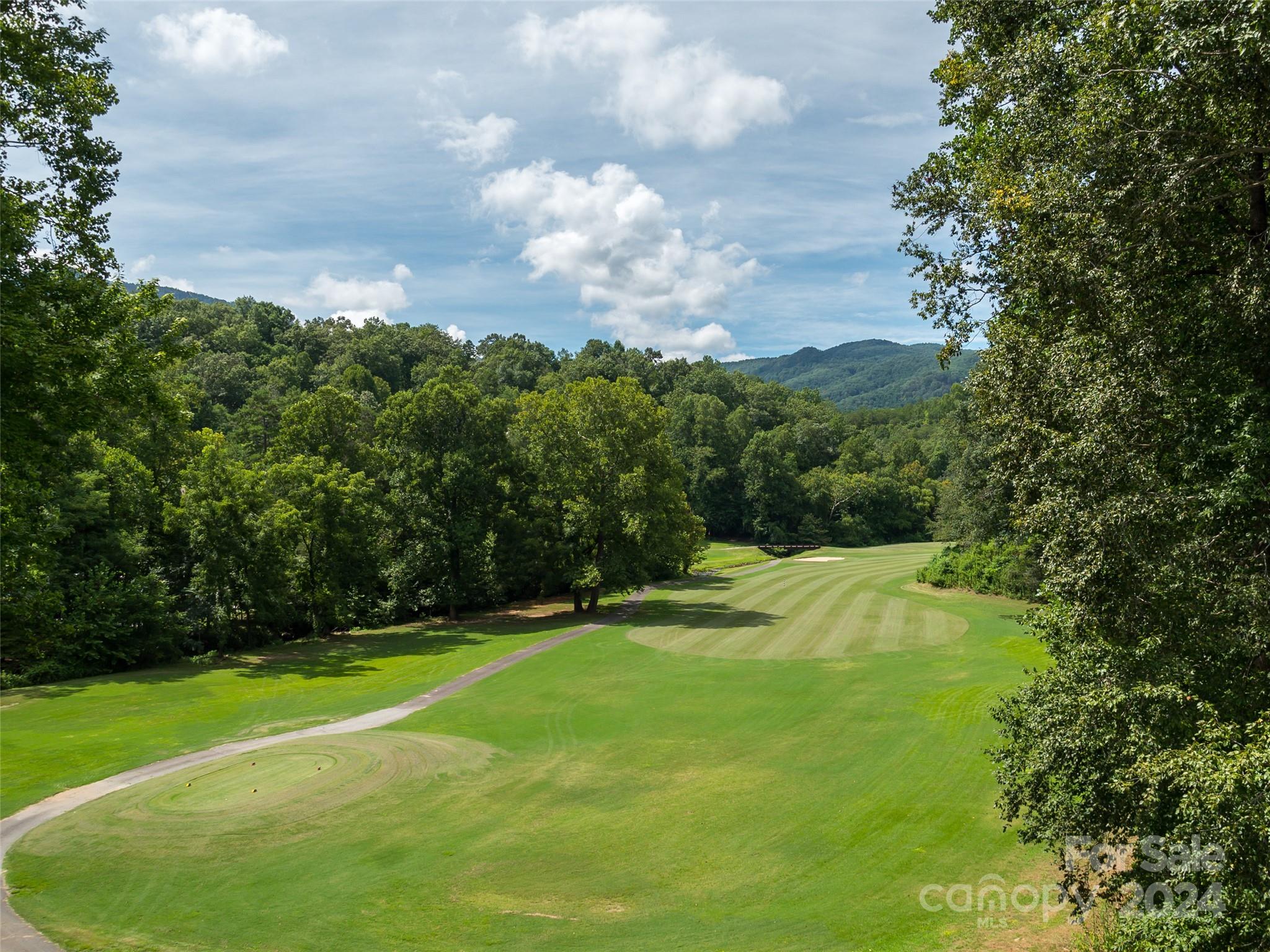 86 Lakewood Drive Lake Lure NC 28746