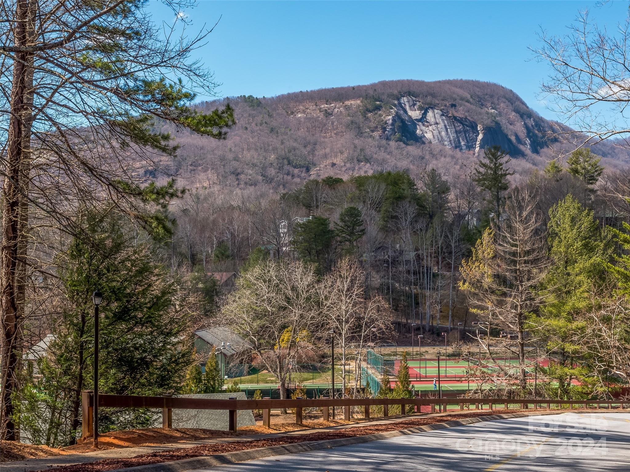 86 Lakewood Drive Lake Lure NC 28746