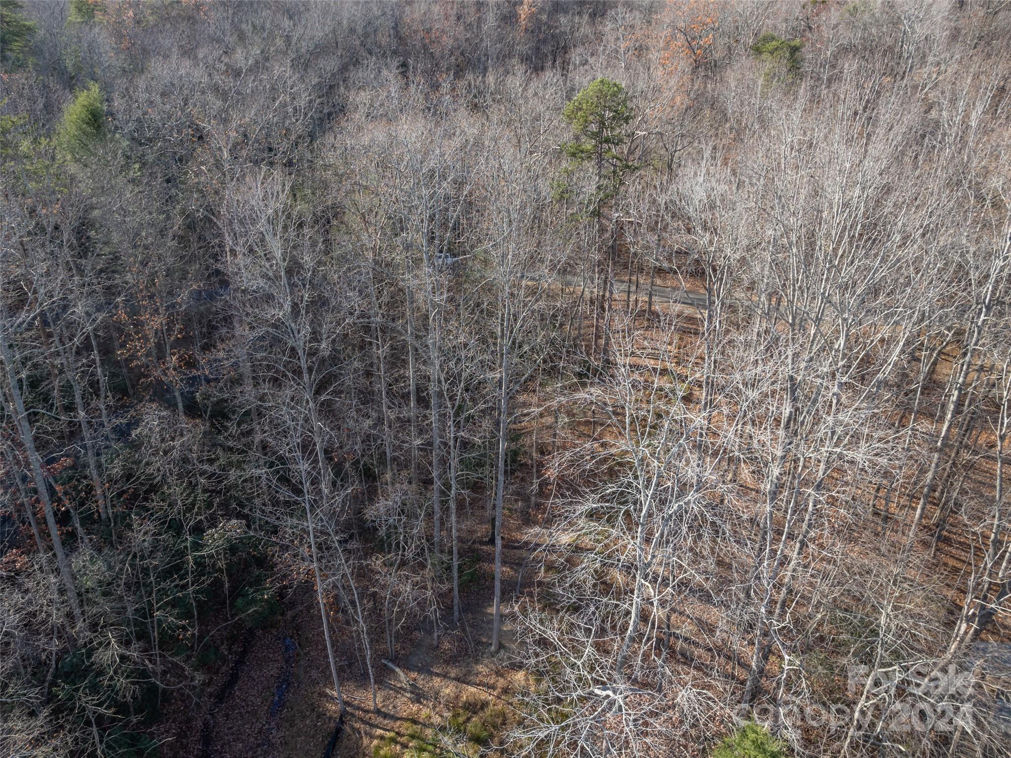 86 Lakewood Drive Lake Lure NC 28746