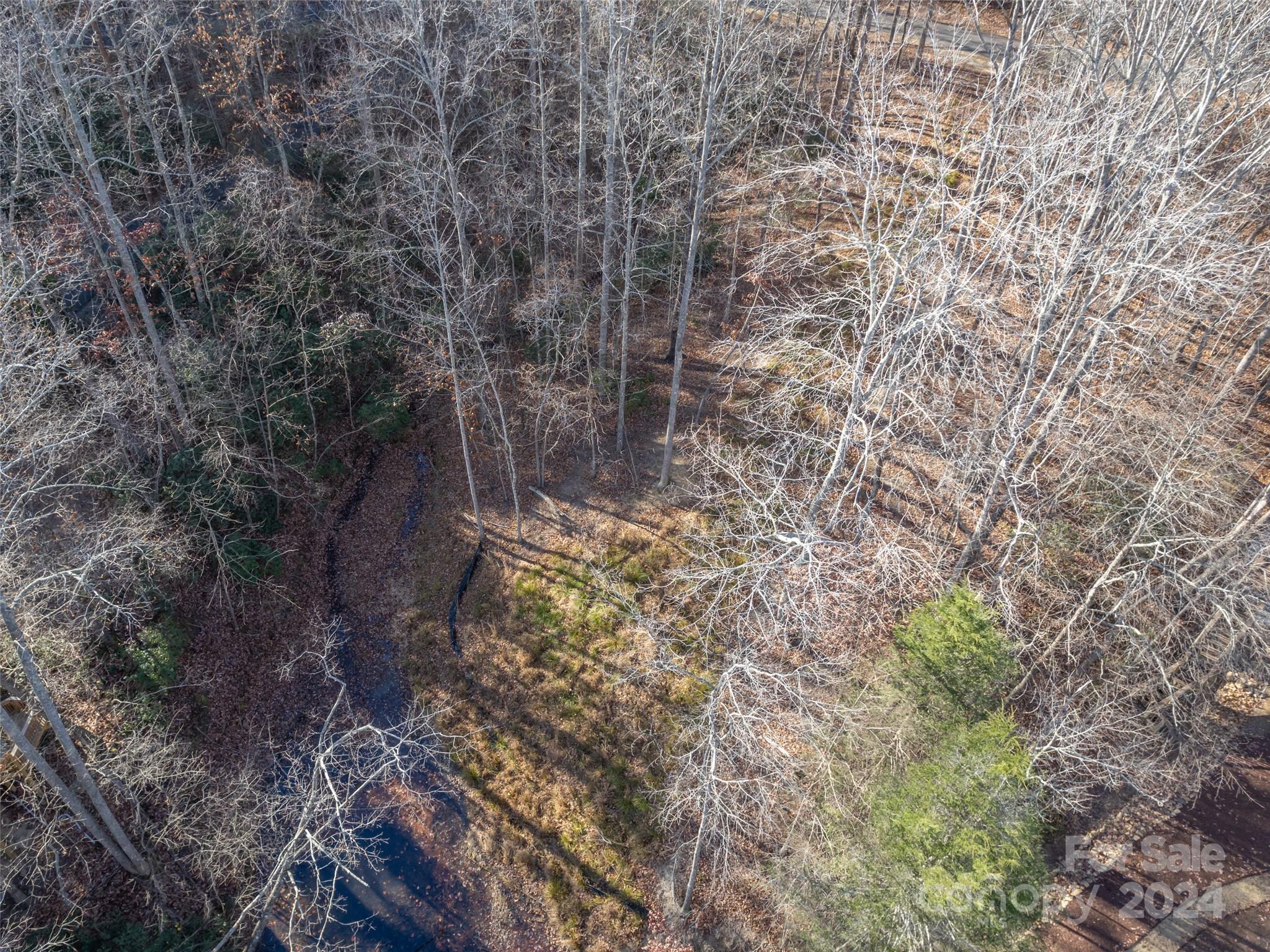 86 Lakewood Drive Lake Lure NC 28746