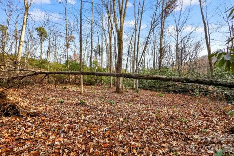 172 Crimson Drive Old Fort NC 28762