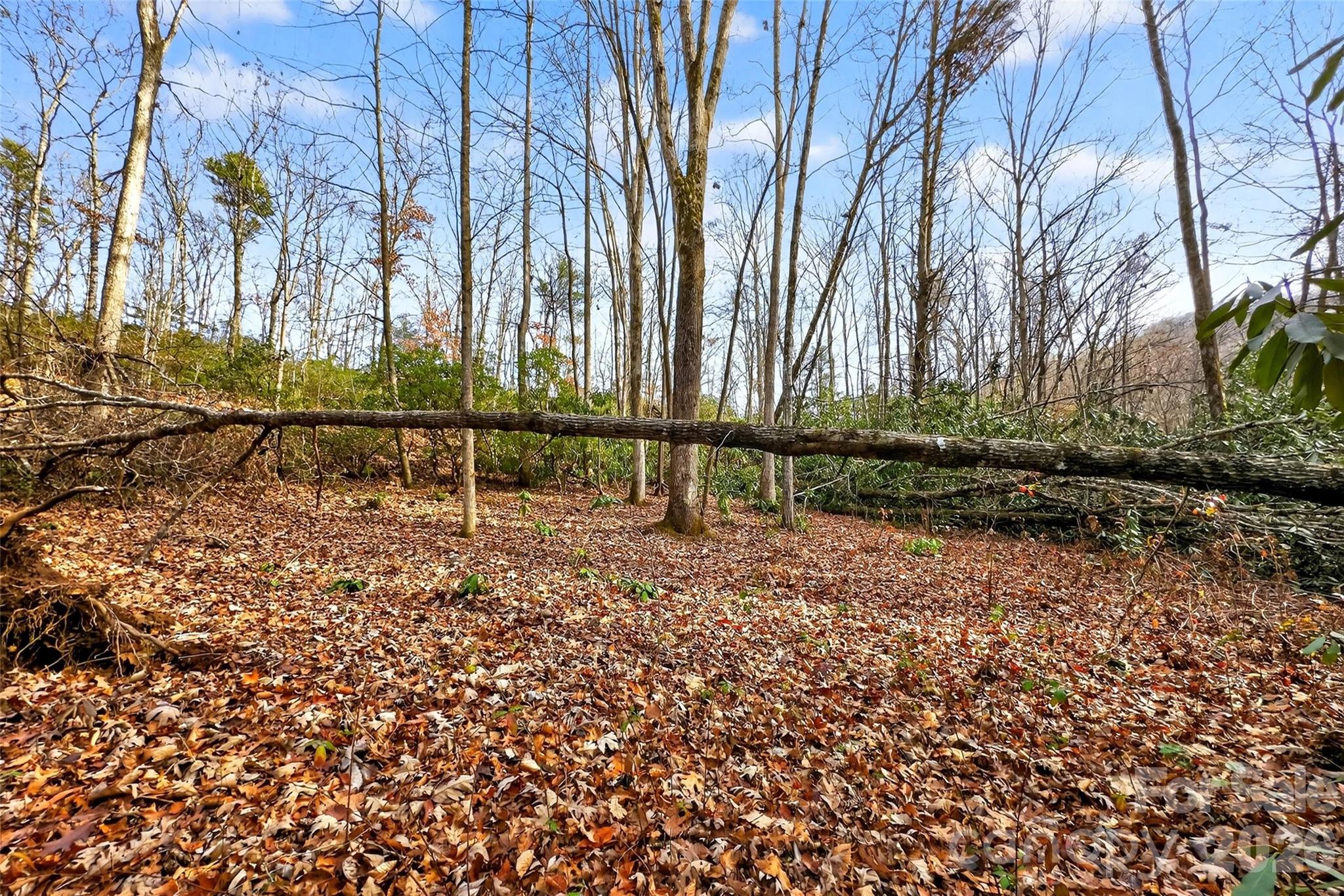 172 Crimson Drive Old Fort NC 28762
