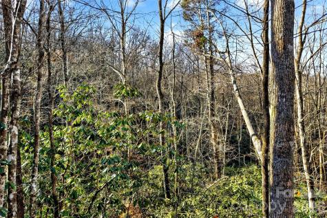 172 Crimson Drive Old Fort NC 28762