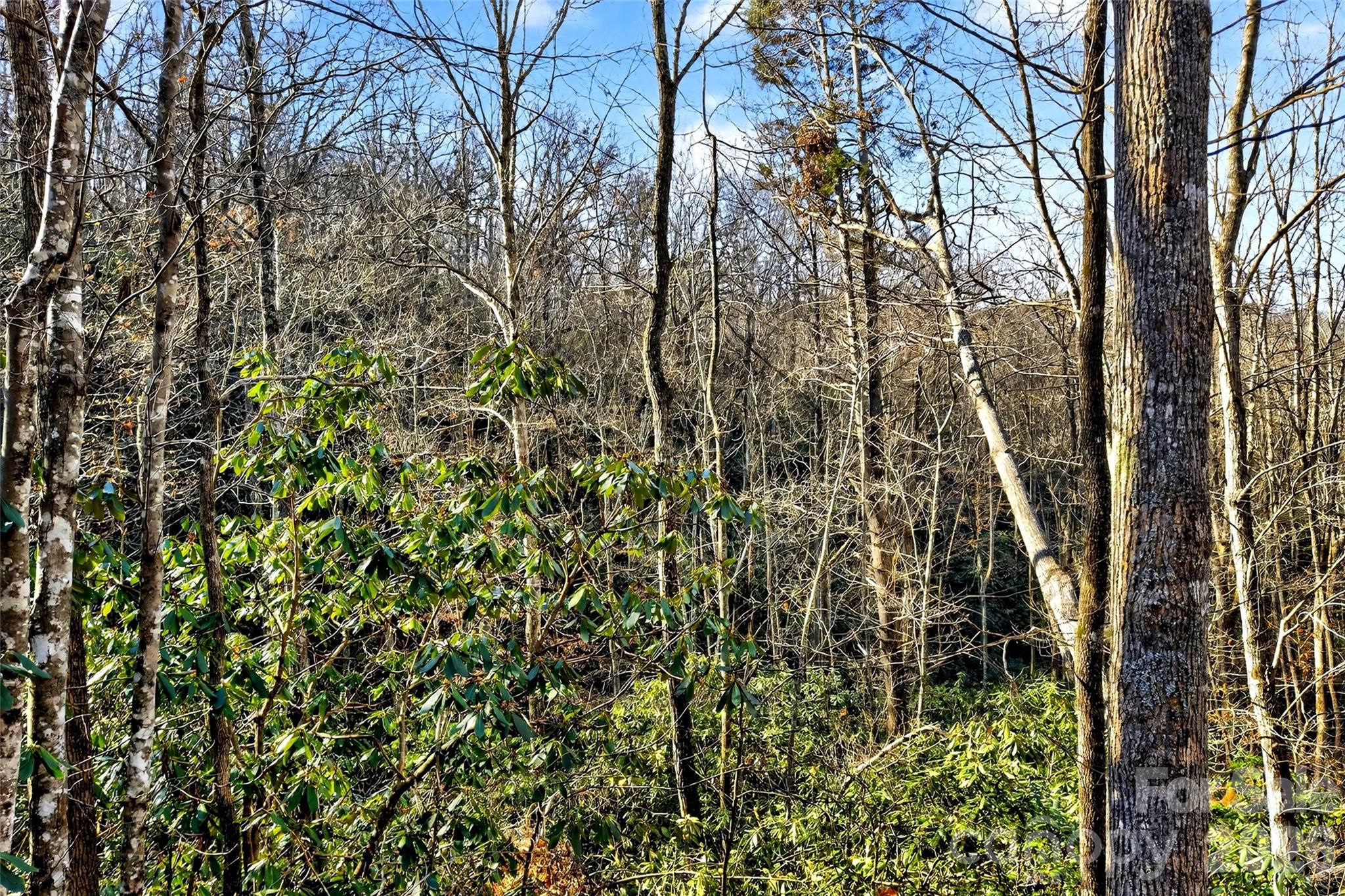 172 Crimson Drive Old Fort NC 28762