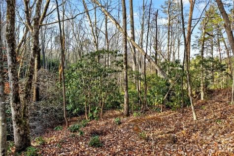 172 Crimson Drive Old Fort NC 28762