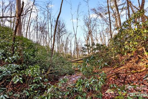 172 Crimson Drive Old Fort NC 28762
