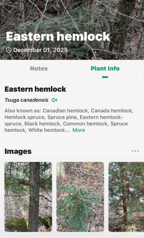 172 Crimson Drive Old Fort NC 28762
