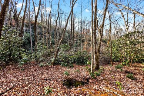 172 Crimson Drive Old Fort NC 28762