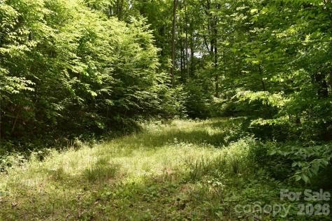 Lot 18 Covered Bridge Trail Waynesville NC 28785