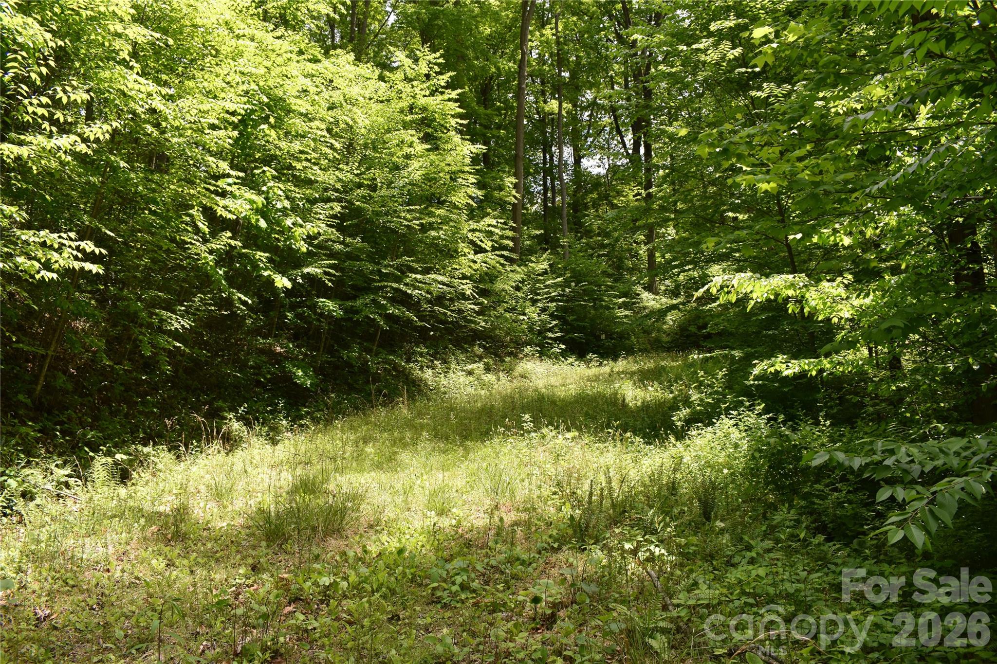 Lot 18 Covered Bridge Trail Waynesville NC 28785