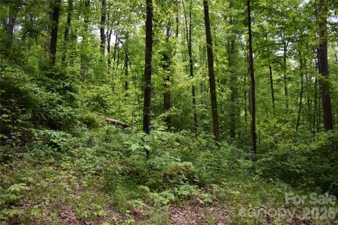 Lot 18 Covered Bridge Trail Waynesville NC 28785