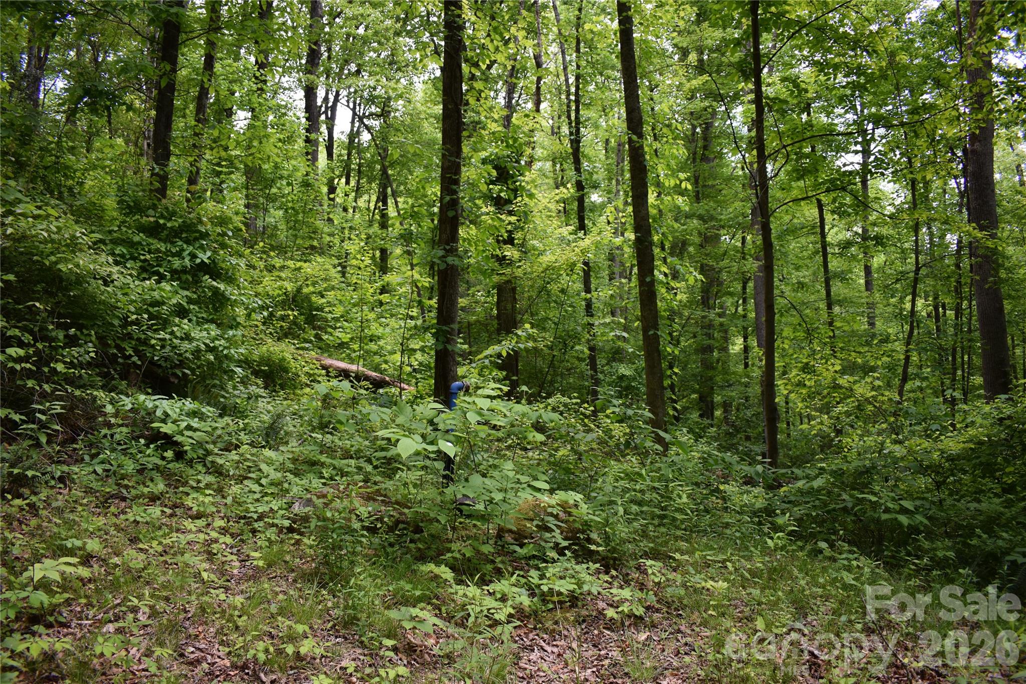 Lot 18 Covered Bridge Trail Waynesville NC 28785