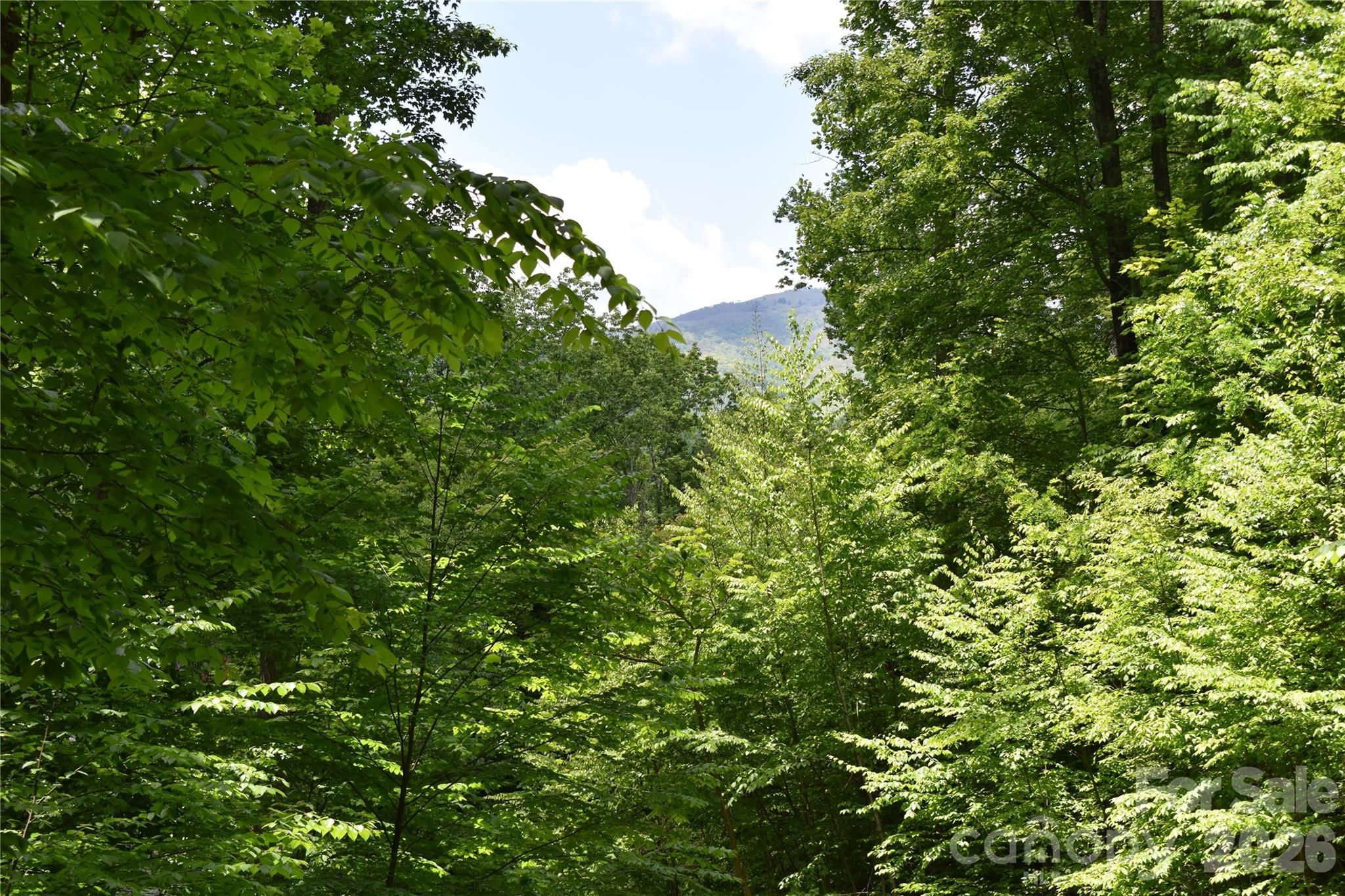 Lot 18 Covered Bridge Trail Waynesville NC 28785