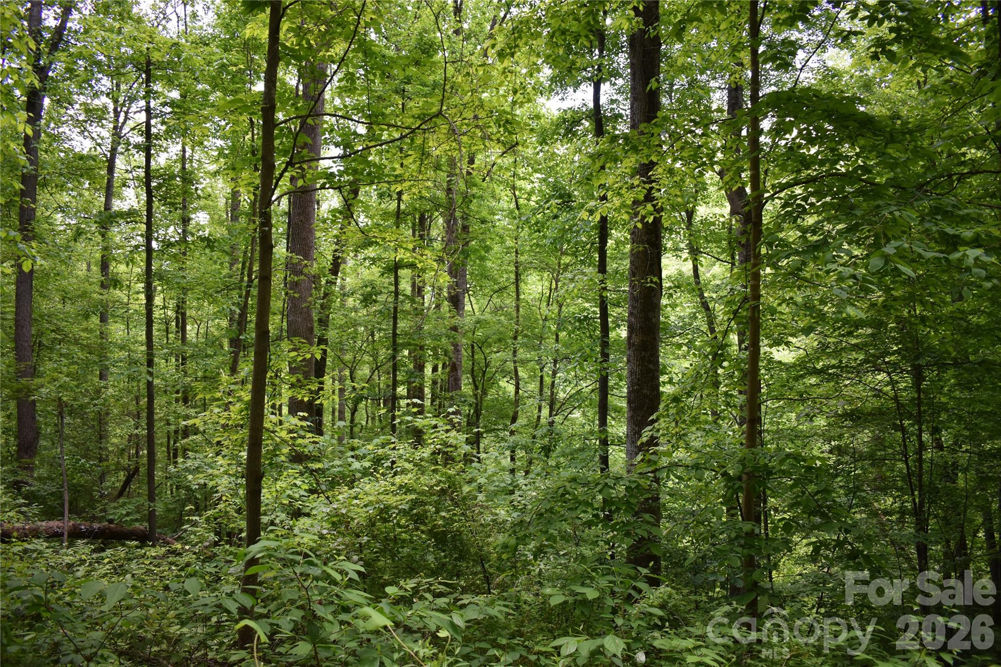 Lot 18 Covered Bridge Trail Waynesville NC 28785