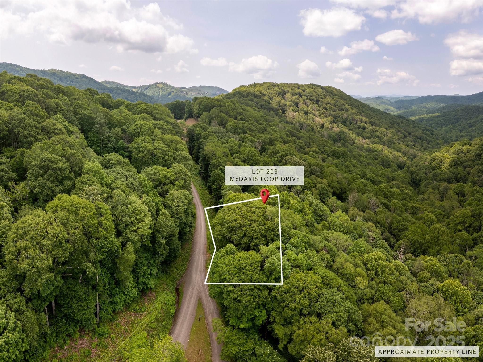 000 Mcdaris Loop Drive Mars Hill NC 28754