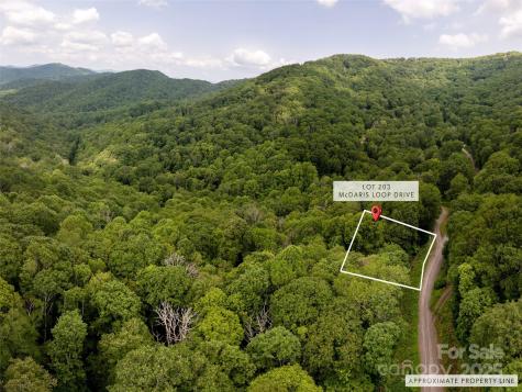 000 Mcdaris Loop Drive Mars Hill NC 28754