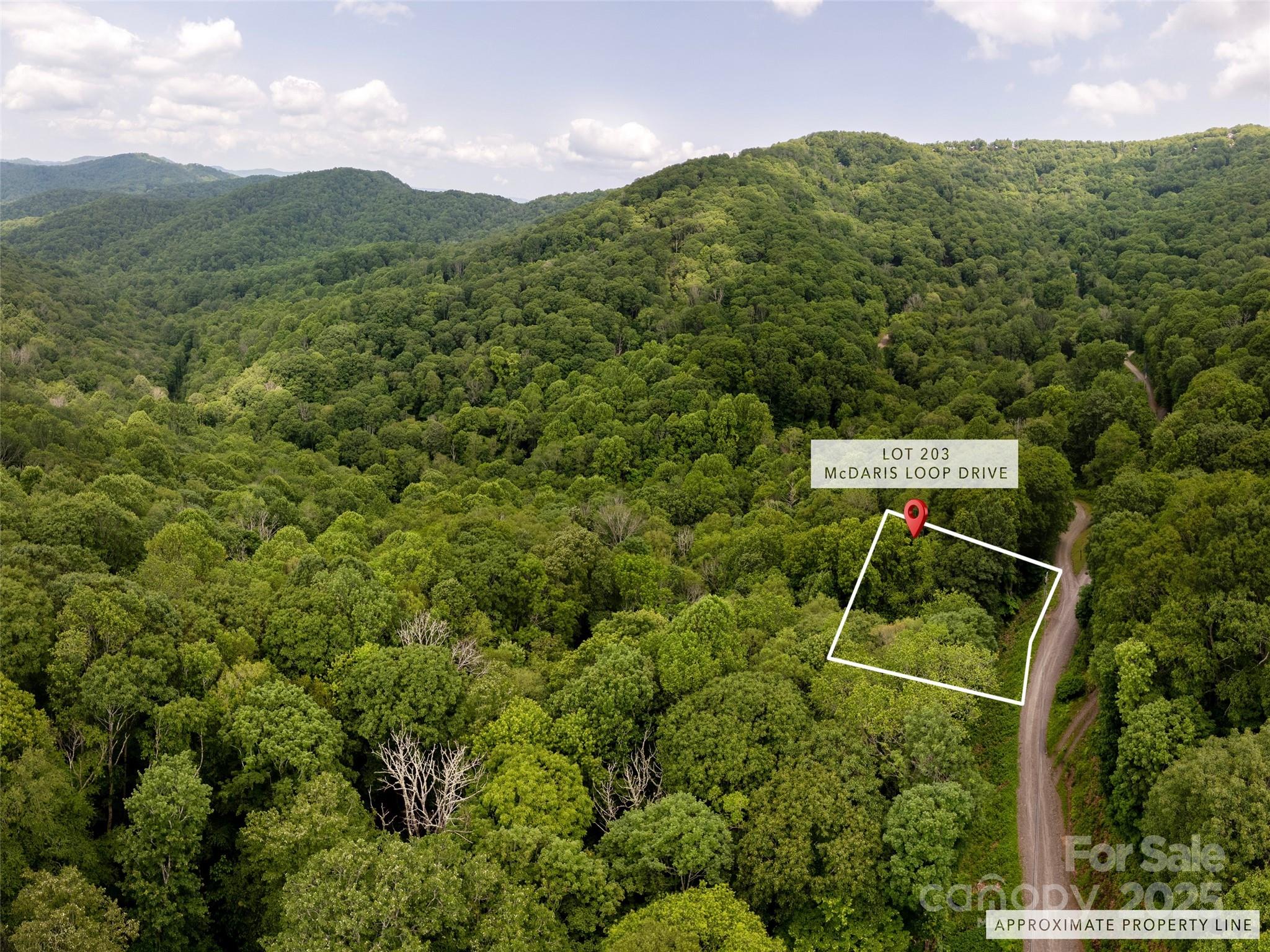 000 Mcdaris Loop Drive Mars Hill NC 28754
