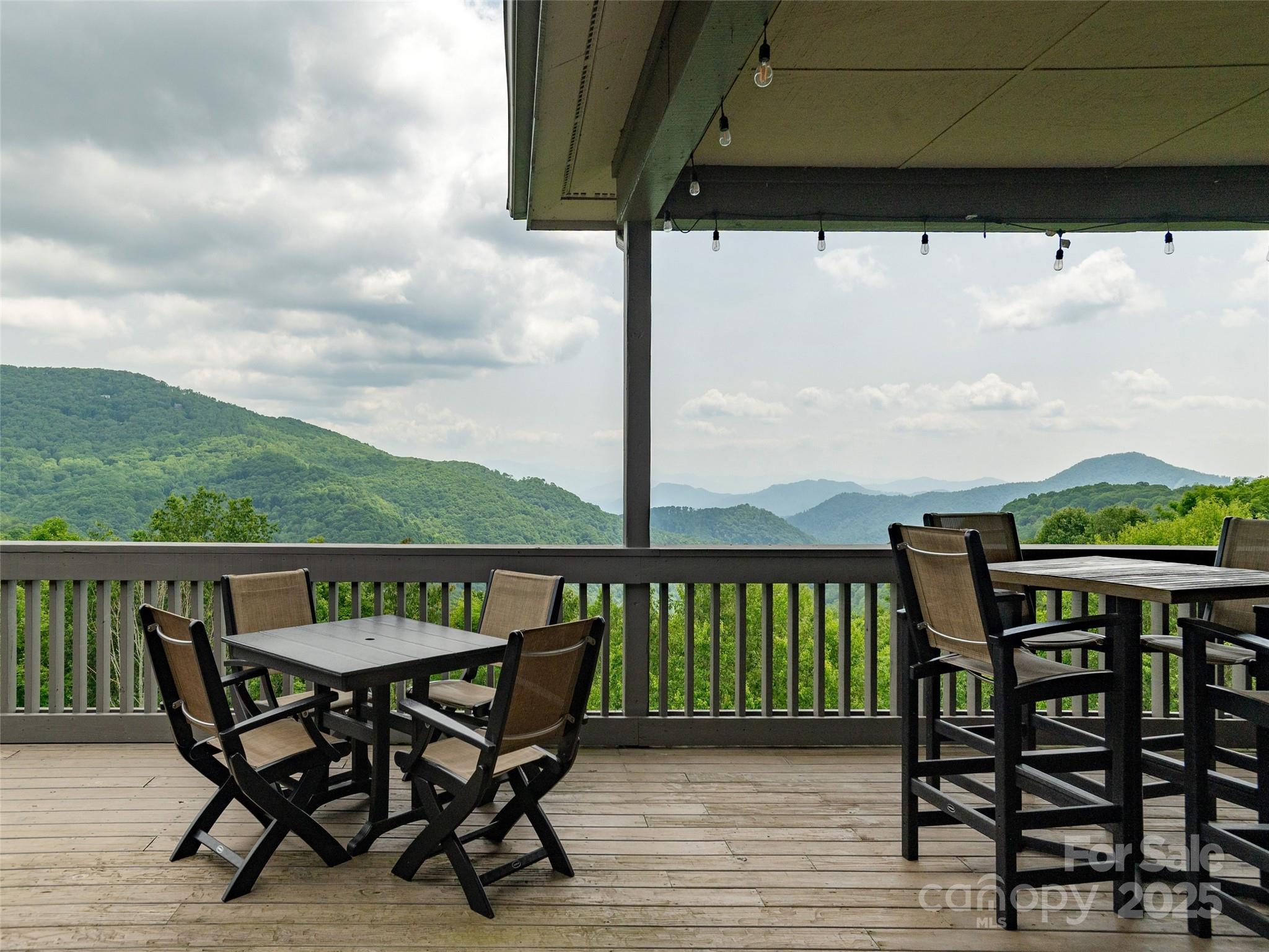 000 Mcdaris Loop Drive Mars Hill NC 28754