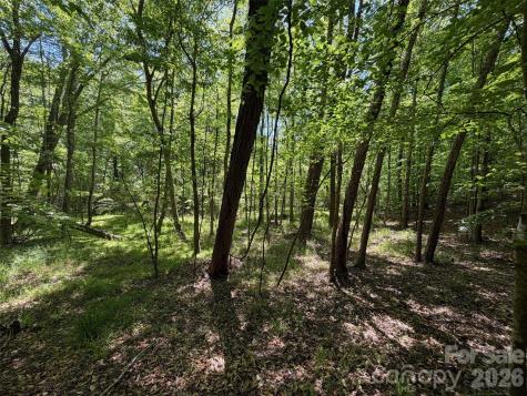 7 Ac Terry Drive Highway Union SC 29379