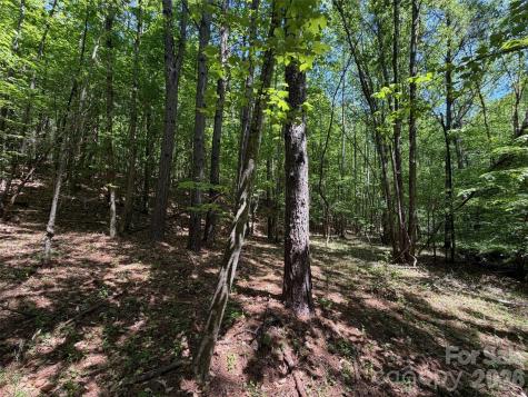 7 Ac Terry Drive Highway Union SC 29379