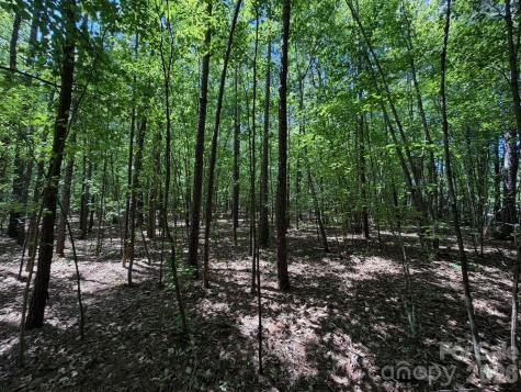 7 Ac Terry Drive Highway Union SC 29379