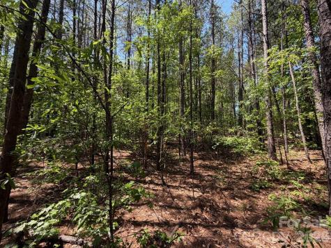 7 Ac Terry Drive Highway Union SC 29379