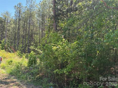 7 Ac Terry Drive Highway Union SC 29379