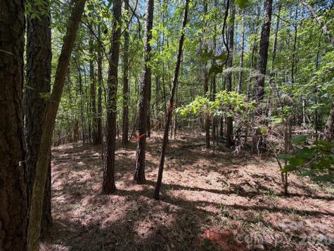 7 Ac Terry Drive Highway Union SC 29379