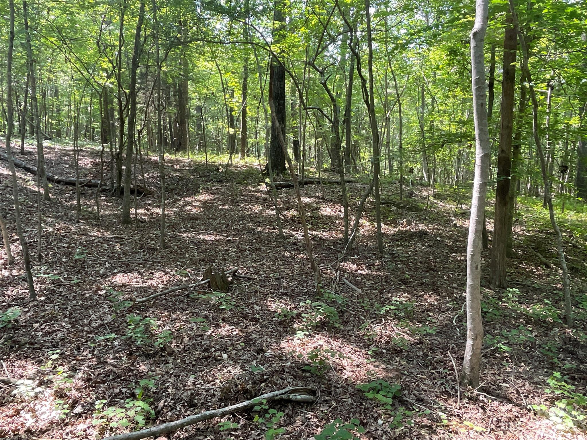 2790 Great Falls Highway Lancaster SC 29720