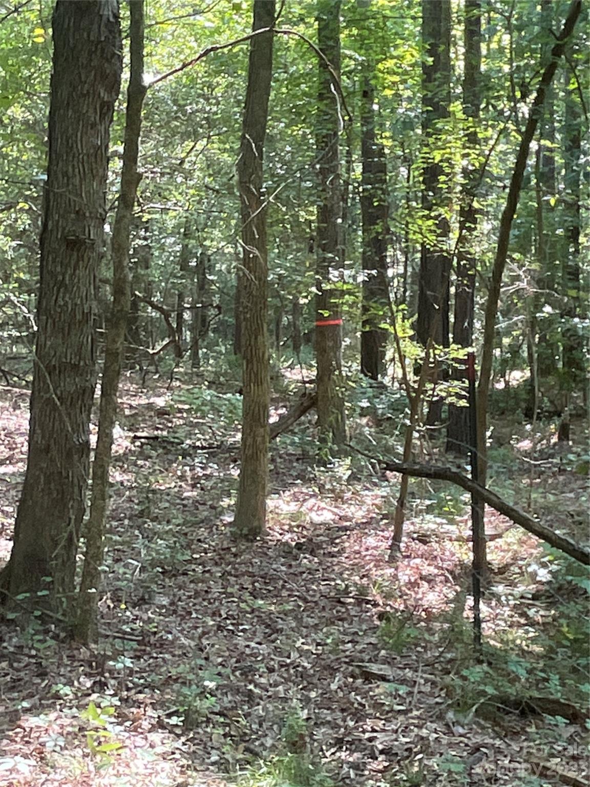 2790 Great Falls Highway Lancaster SC 29720