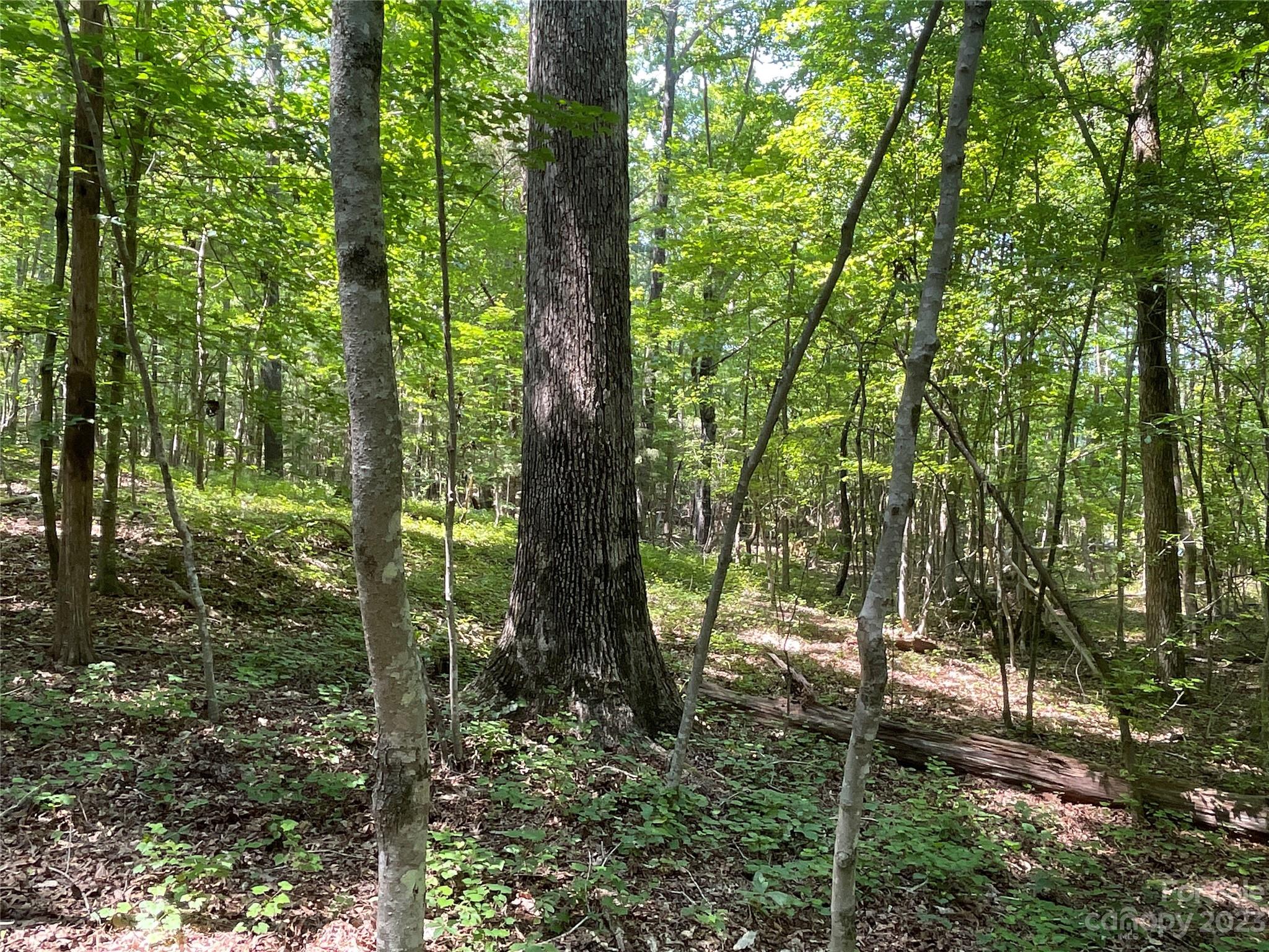 2790 Great Falls Highway Lancaster SC 29720