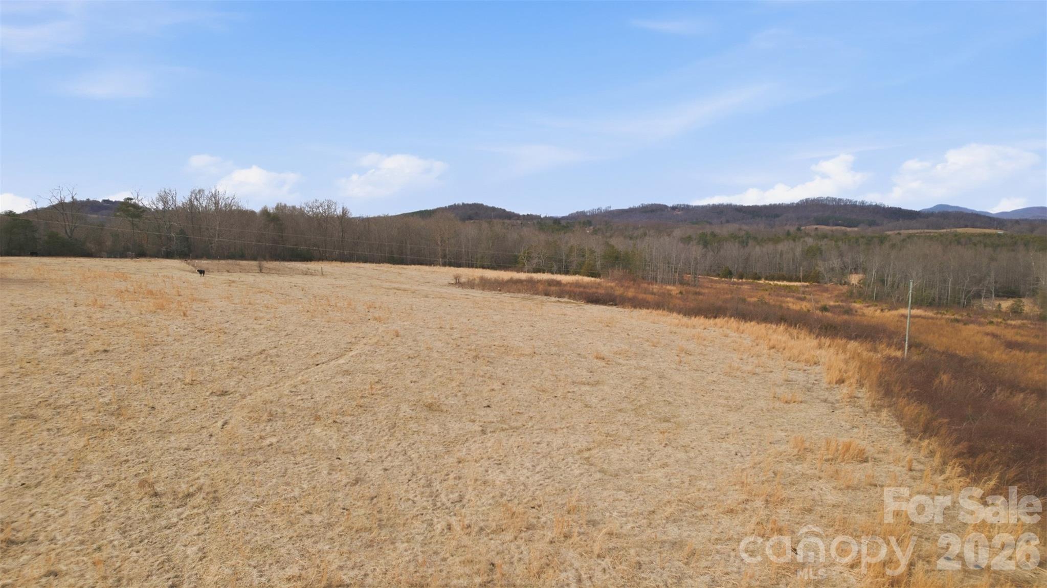 00 Tarlton Drive Taylorsville NC 28681